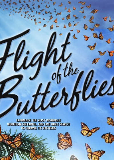 Flight of the Butterflies